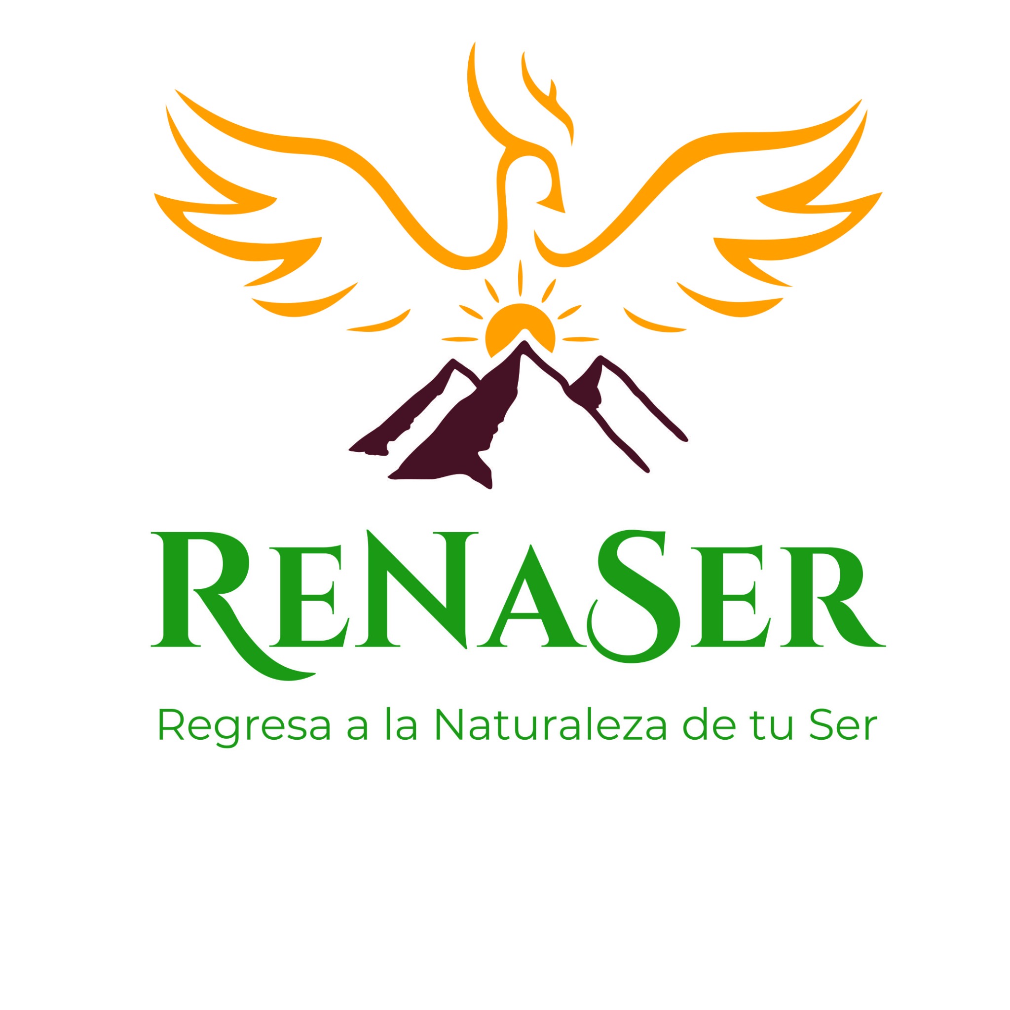 Logo oficial ReNaSer Perú